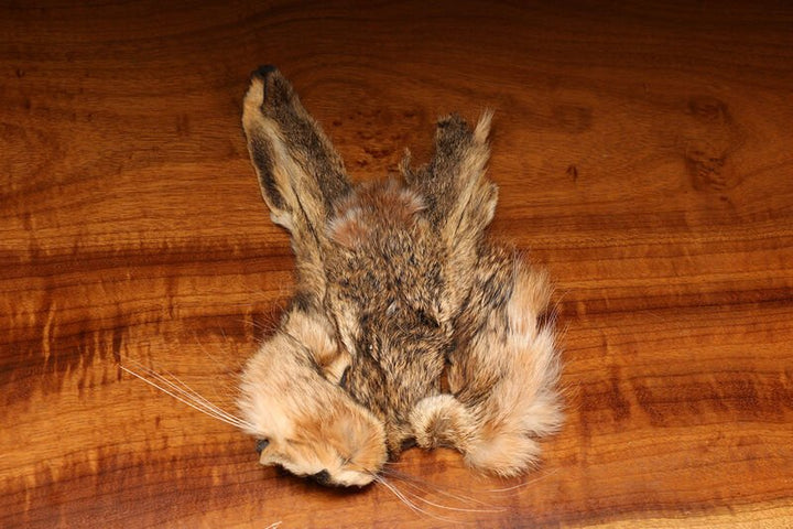 Hare&