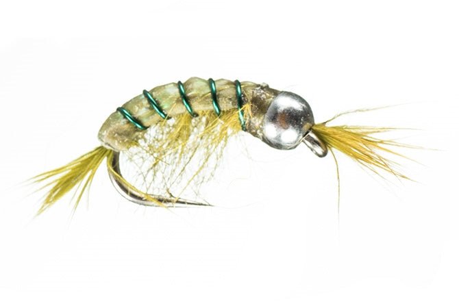 BH Scud - Olive - Flies - Fly Fish Food
