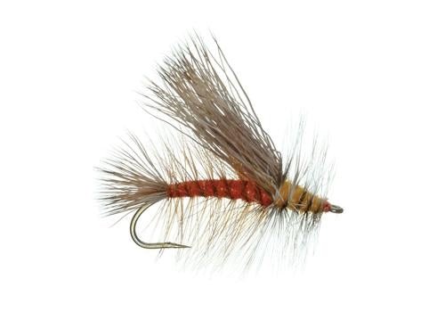 Stimulator Orange - Flies - Fly Fish Food