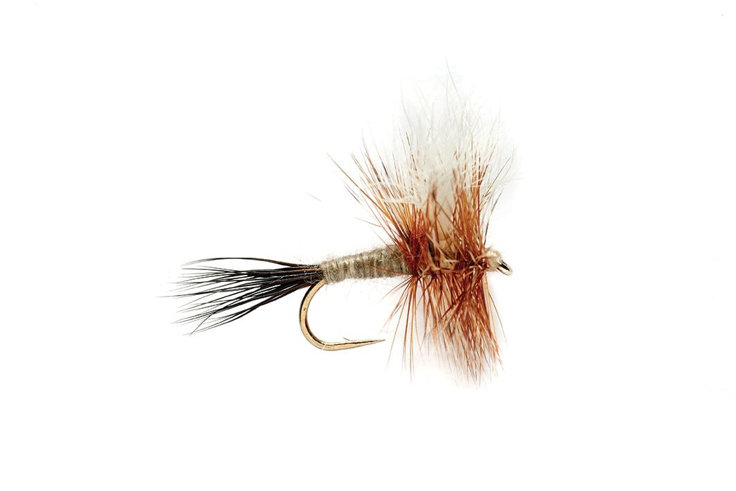 Adams Wulff - Flies - Fly Fish Food