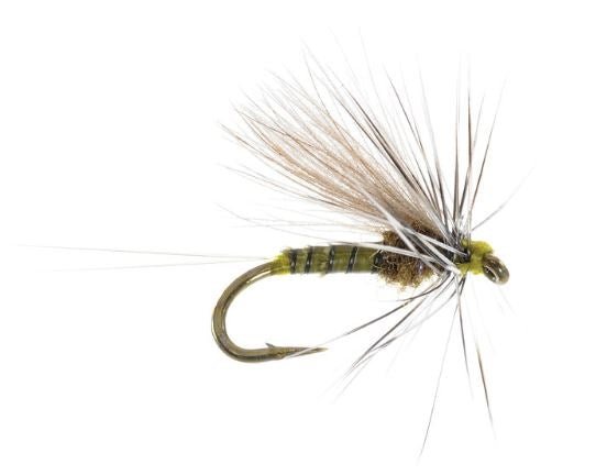 Low Water Baetis Olive - Flies - Fly Fish Food