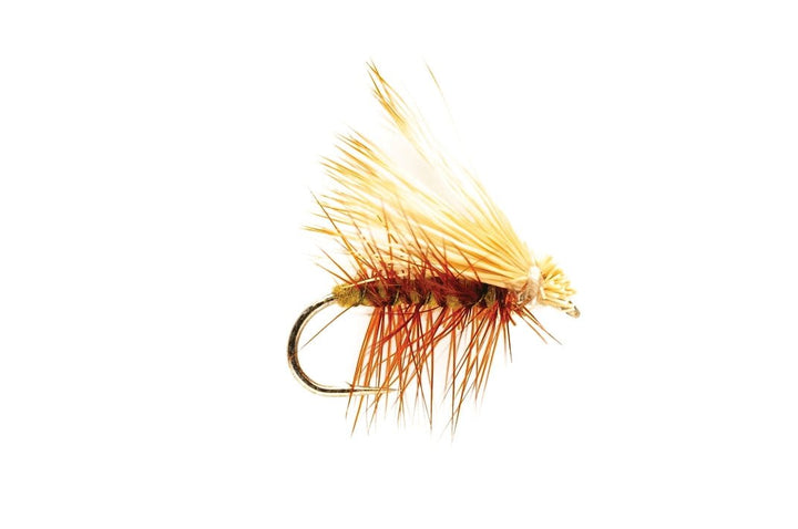 Olive Elk Wing Caddis - Flies - Fly Fish Food
