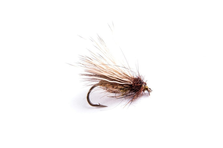TFP Party on top Caddis - Flies - Fly Fish Food