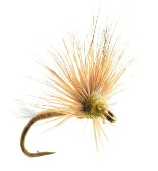 Improved Sparkle Dun Baetis - Flies - Fly Fish Food