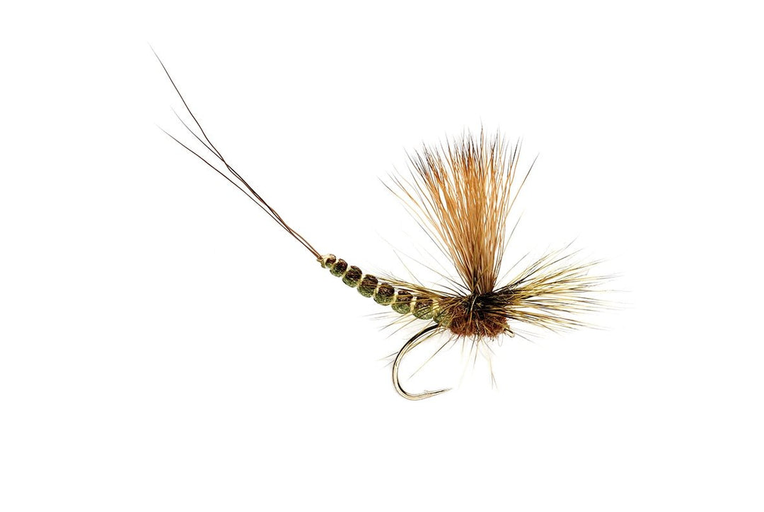 Extended Body Paradrake - Flies - Fly Fish Food
