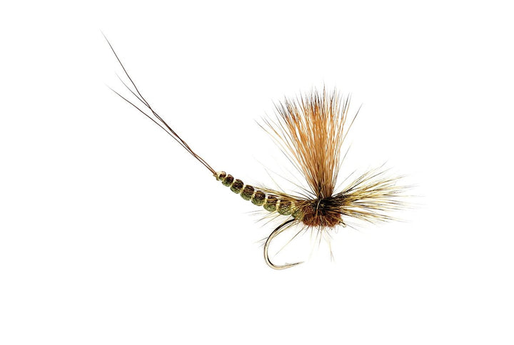 Extended Body Paradrake - Flies - Fly Fish Food