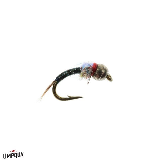 Tungsten Rainbow Warrior - Black - Flies - Fly Fish Food