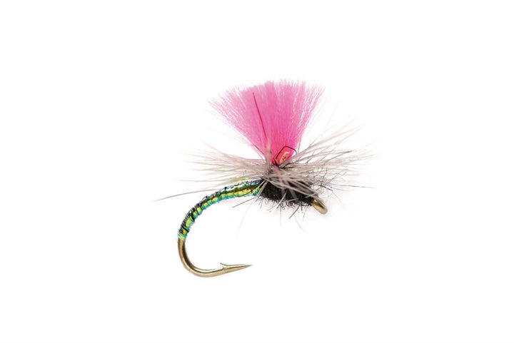Pink Greased Lightning Klinkhammer - Flies - Fly Fish Food
