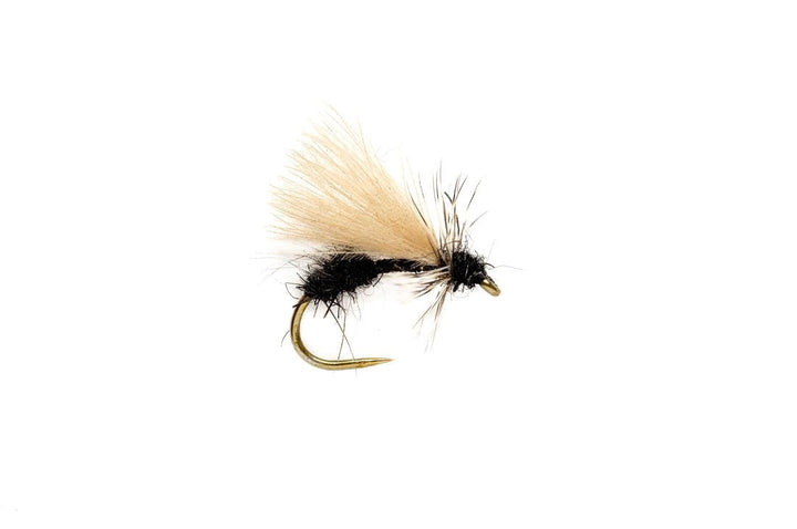 Drop Arse Ant B/L - Flies - Fly Fish Food