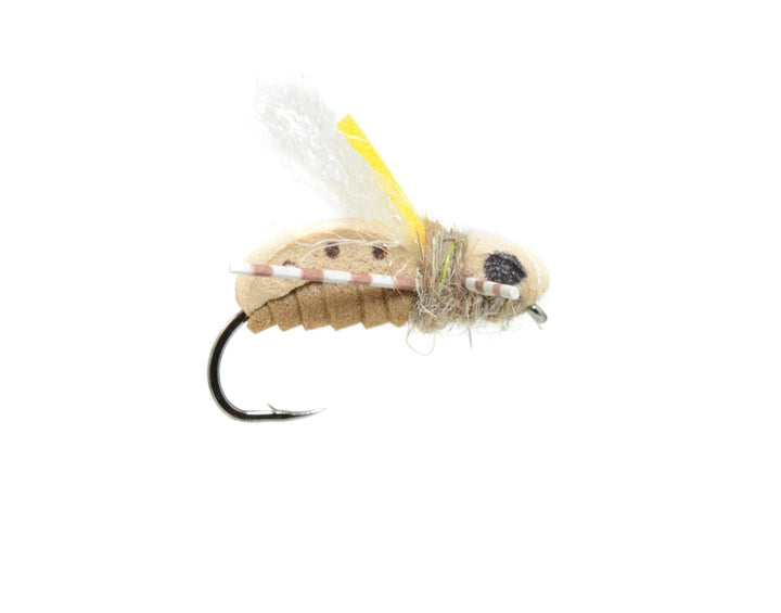 Unsinkabeetle Tan - Flies - Fly Fish Food