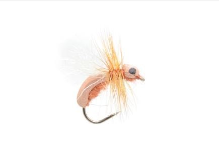 Cinnamon Toast Ant - Flies - Fly Fish Food