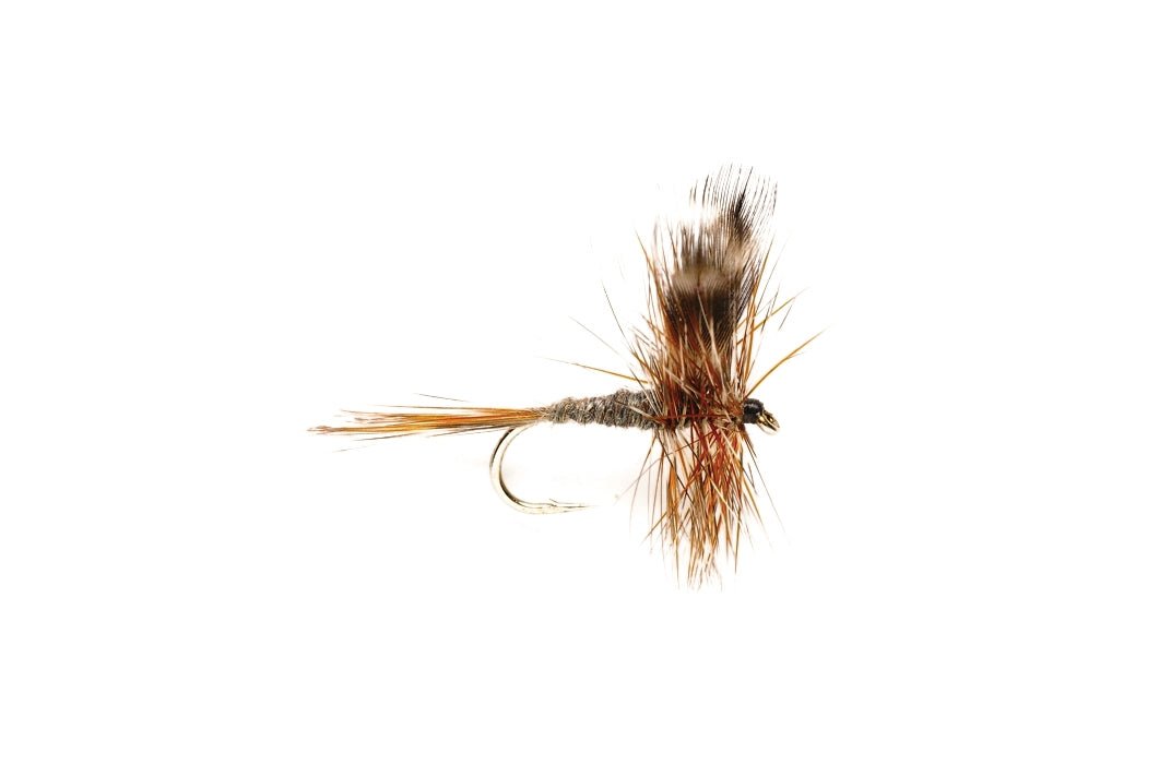 Adams - Flies - Fly Fish Food