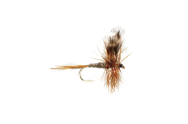 Adams - Flies - Fly Fish Food