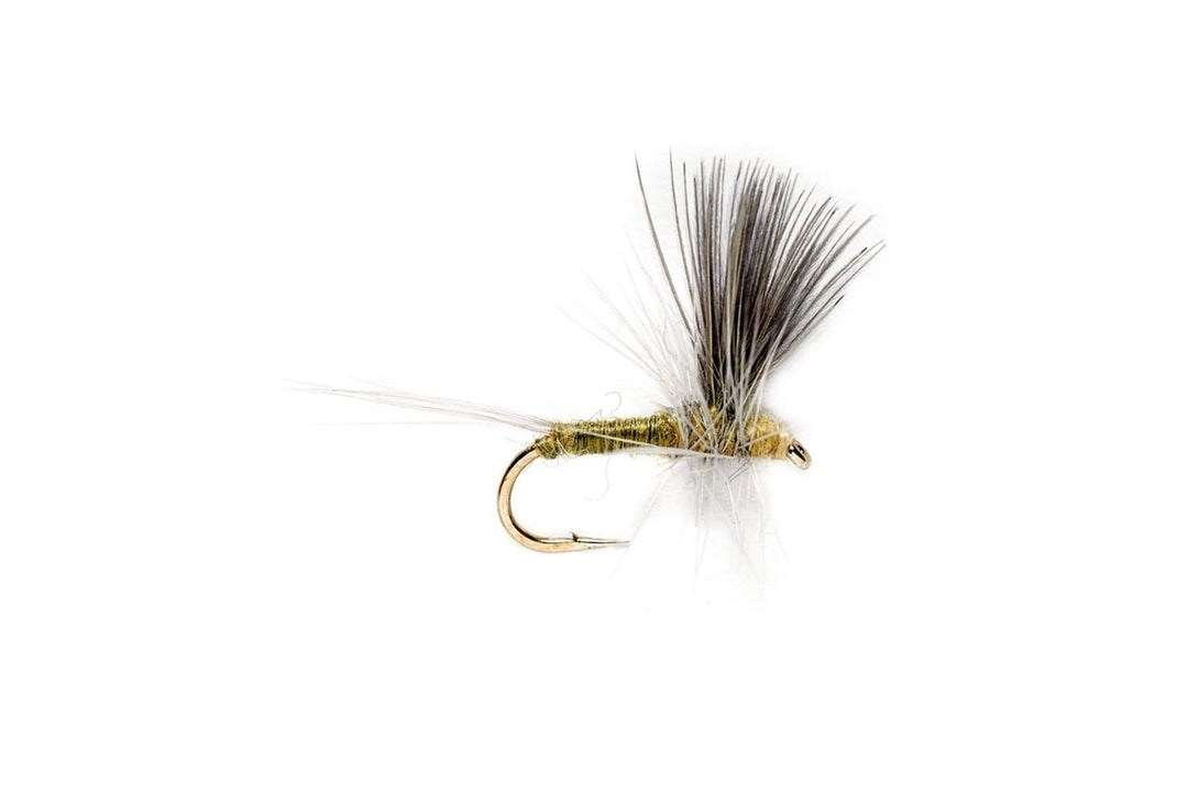 Blue Winged Olive Thorax - Flies - Fly Fish Food