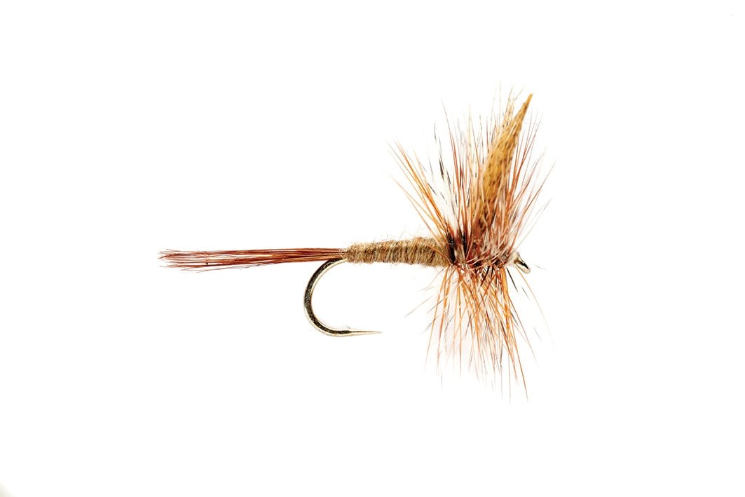 March Brown - Flies - Fly Fish Food