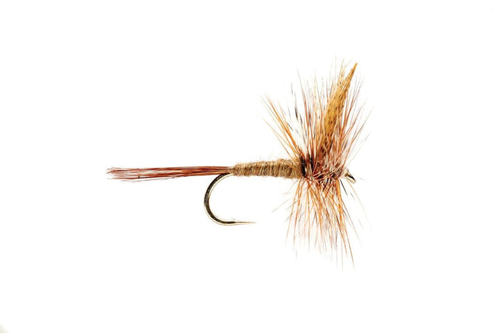 March Brown - Flies - Fly Fish Food