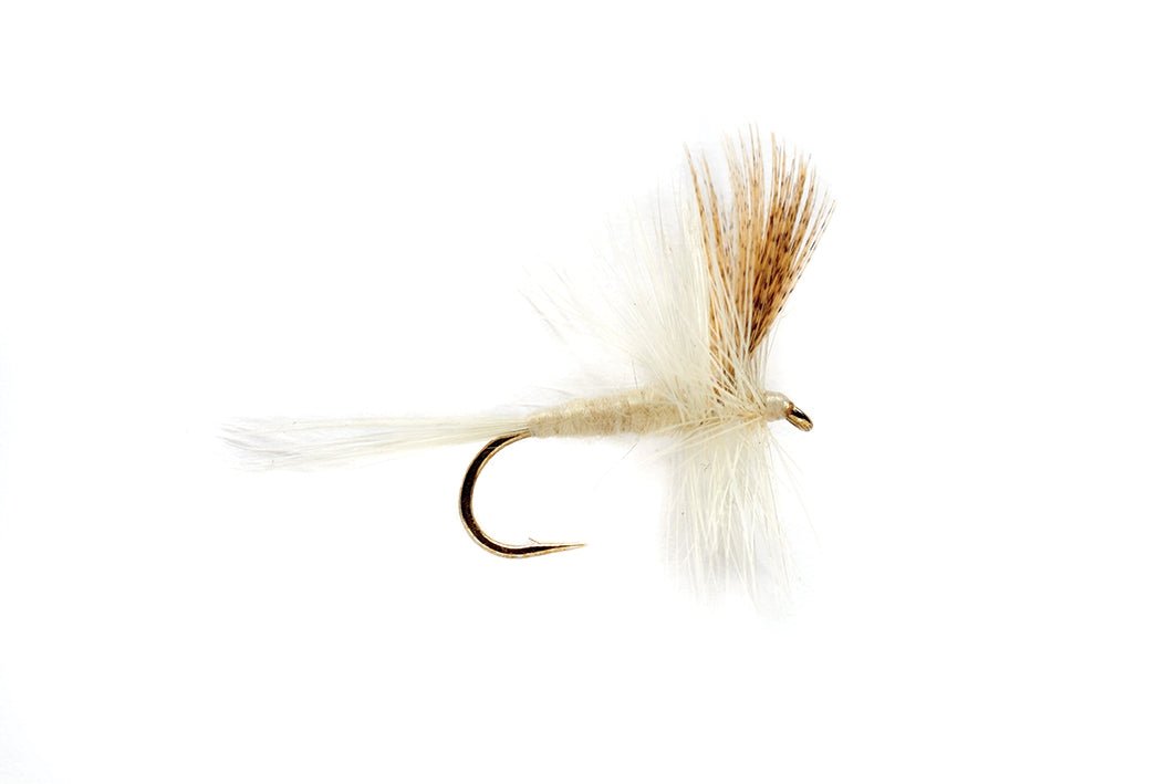 Light Cahill - Flies - Fly Fish Food