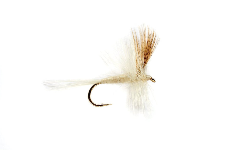 Light Cahill - Flies - Fly Fish Food