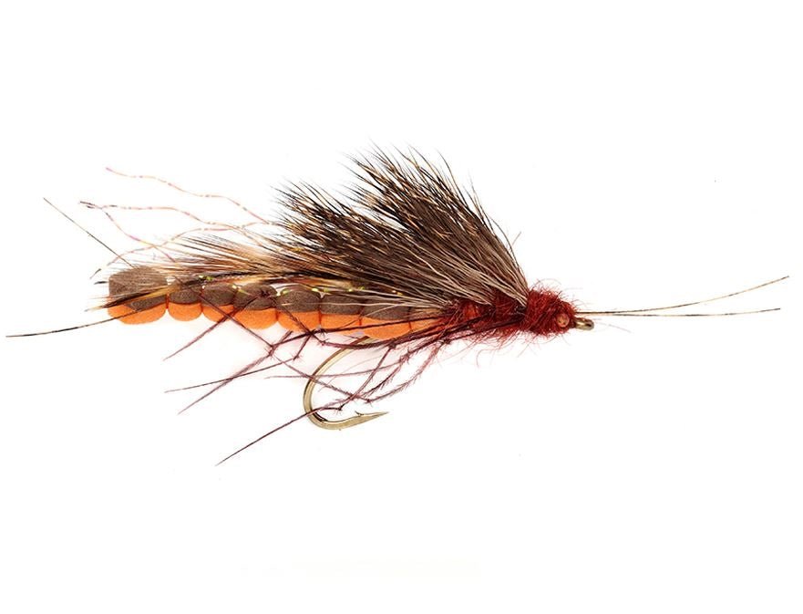McPhail Adult Salmon Fly - Flies - Fly Fish Food