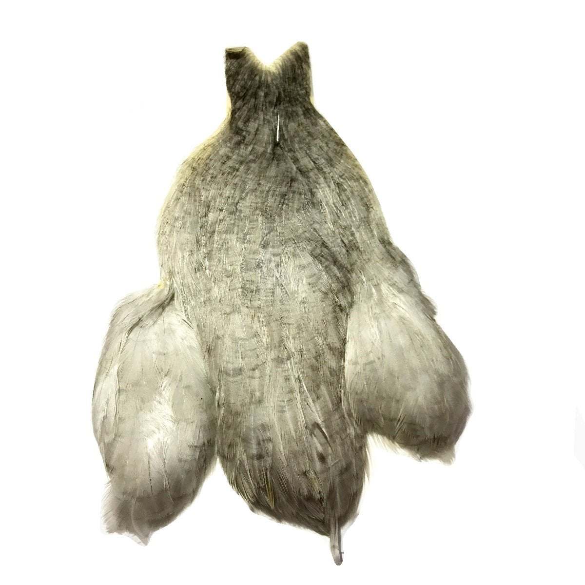 Whiting Bantam Hen Cape - Hackle - Fly Fish Food