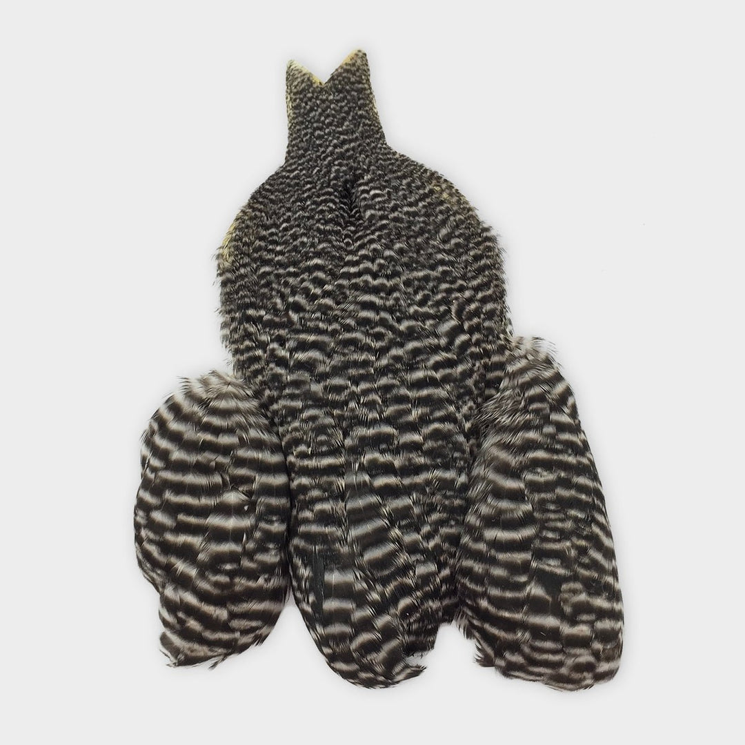 Whiting Winger Cape - Hackle - Fly Fish Food