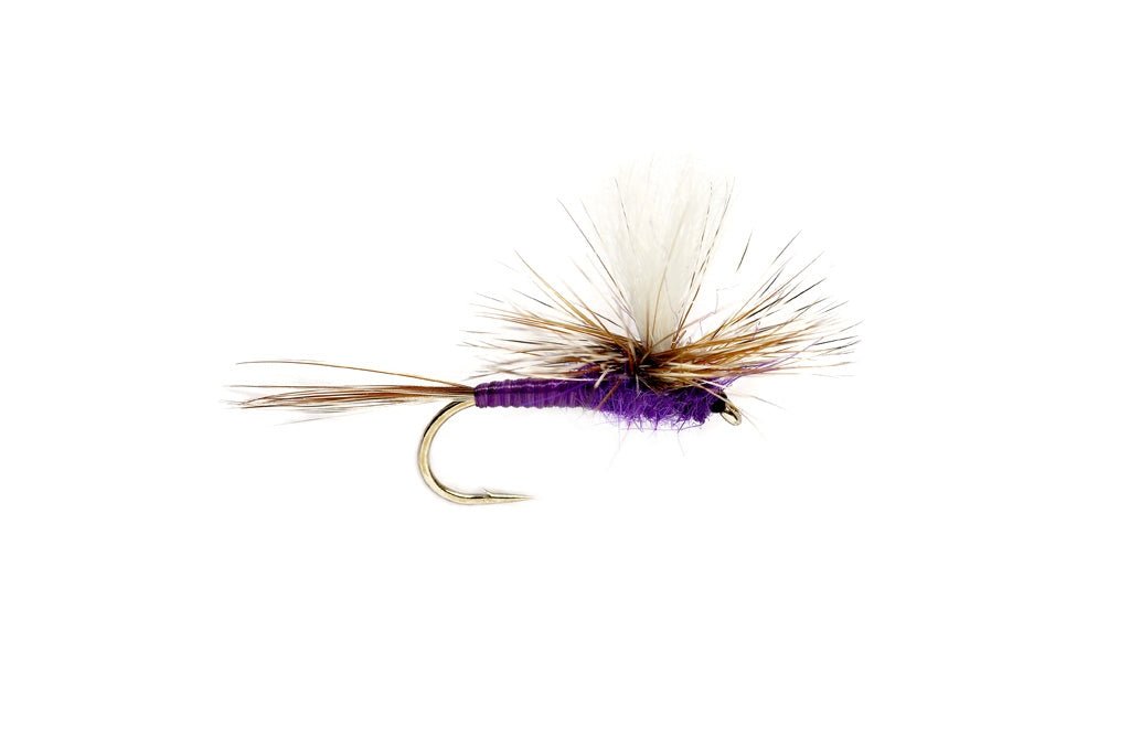 Purple Parachute Adams - Flies - Fly Fish Food