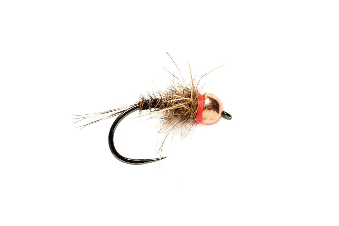 Red Neck (TBH) B/L - Flies - Fly Fish Food