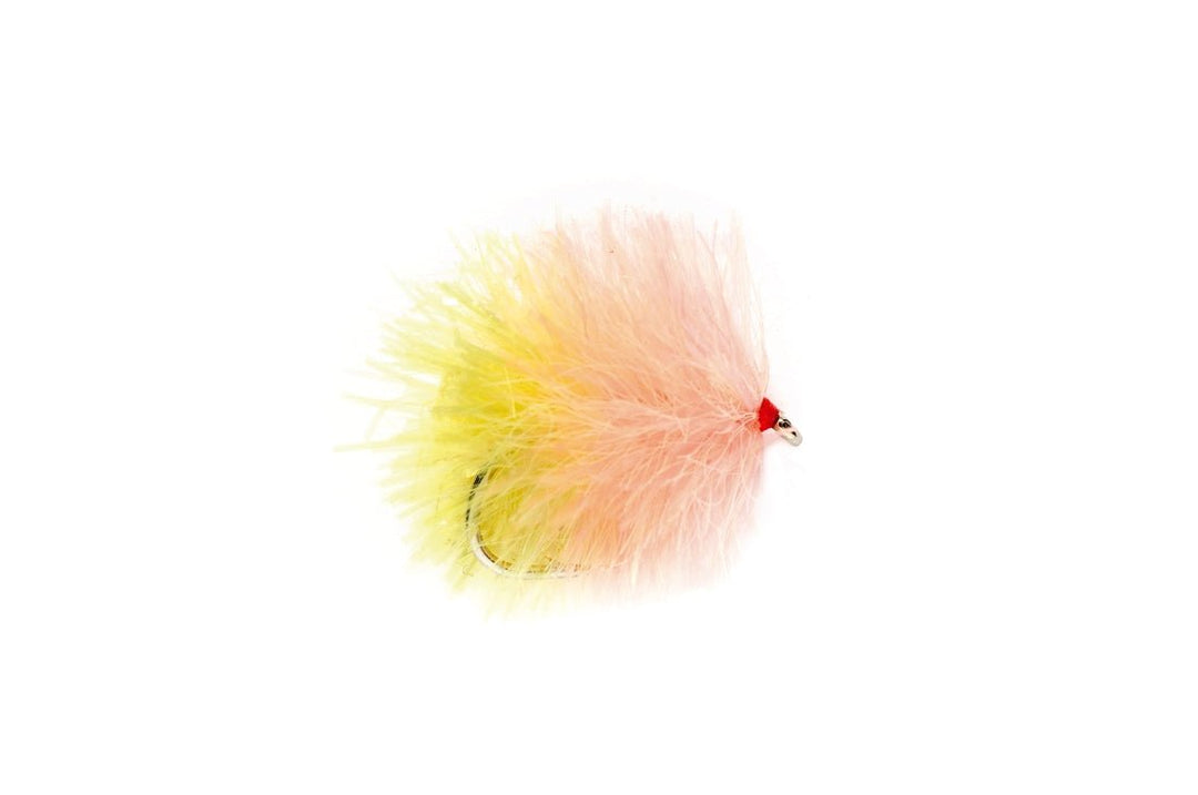 FAB - Biscuit - Flies - Fly Fish Food