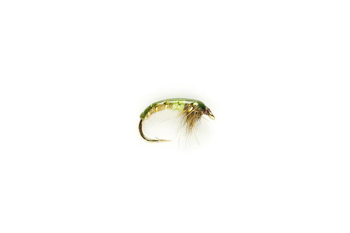 Czech Mate - Green Peacock - Flies - Fly Fish Food