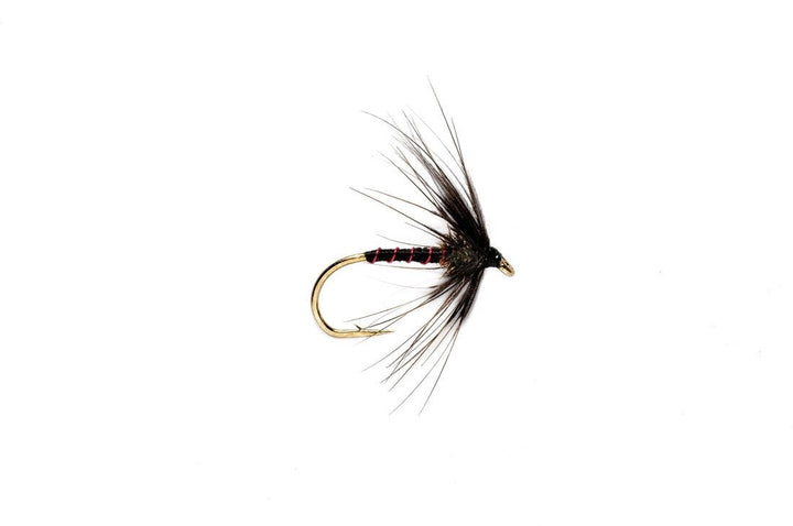 Spider Black Magic - Flies - Fly Fish Food