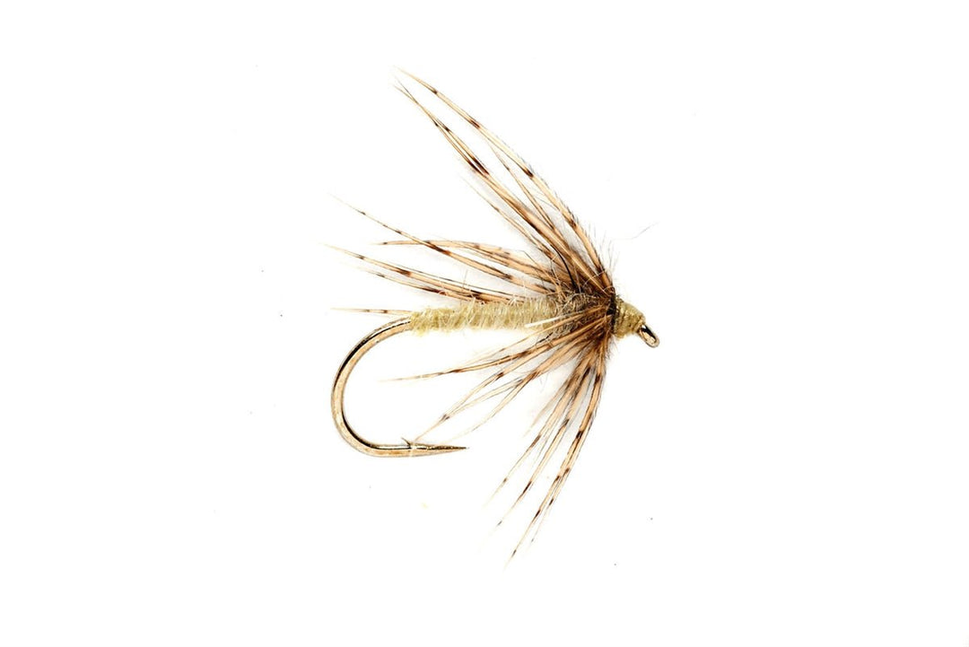 Spider Caddis Pale Yellow - Flies - Fly Fish Food