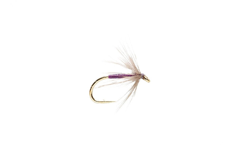 Snipe &amp; Purple - Flies - Fly Fish Food