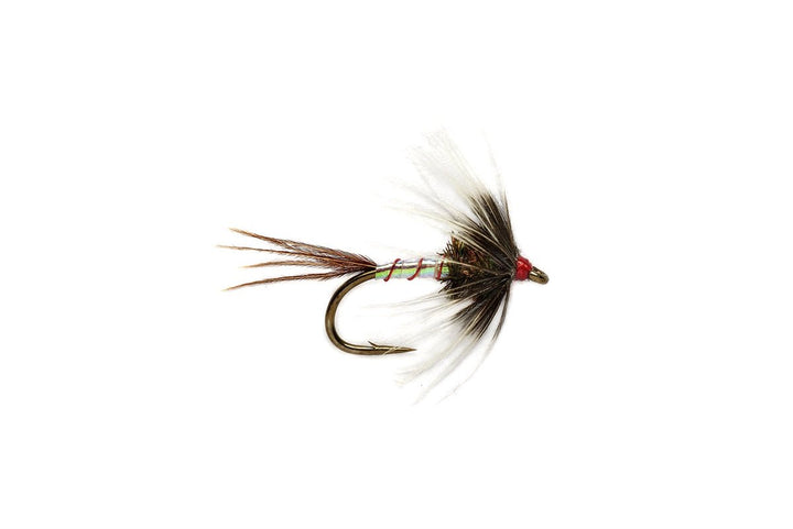DW Catchall Spider - Flies - Fly Fish Food