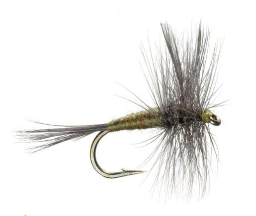 Blue Wing Olive - Flies - Fly Fish Food