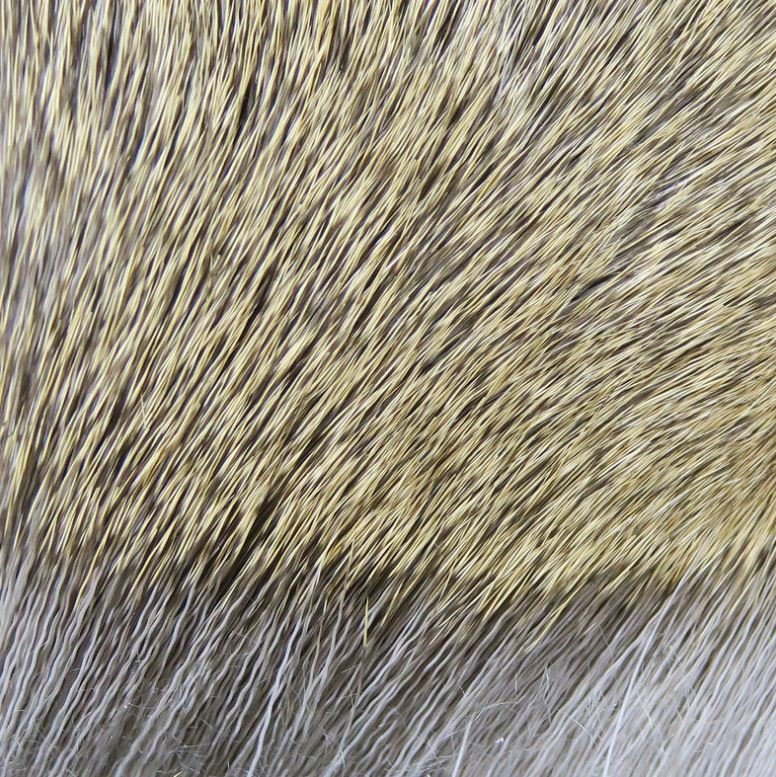 Dyed Deer Body Hair - Hair &amp; Fur - Fly Fish Food