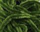 Chenille - Medium - Chenille - Fly Fish Food