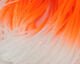 Crazy Legs - Synthetic Fibers &amp; Flash - Fly Fish Food