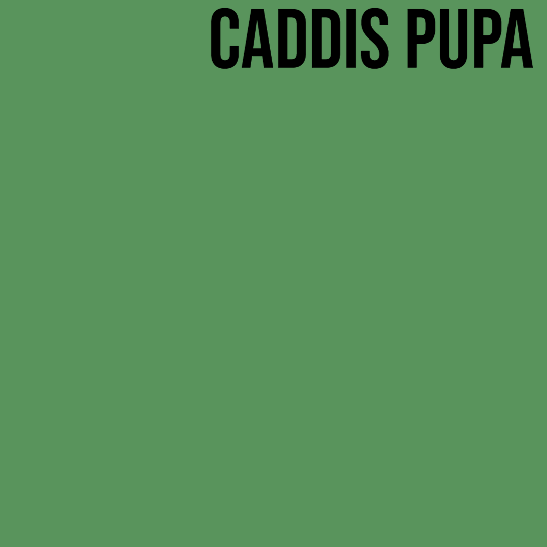 Kapok Dry Fly Dubbing - Dubbing - Fly Fish Food