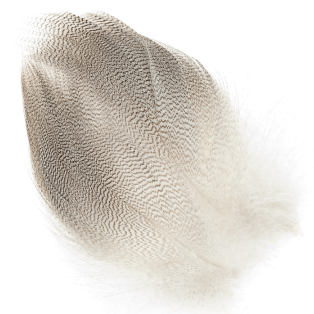 Mallard Barred Flank - Feathers & Marabou - Fly Fish Food