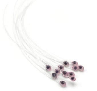 Epoxy Mono Crab or Shrimp Eyes - Eyes - Fly Fish Food