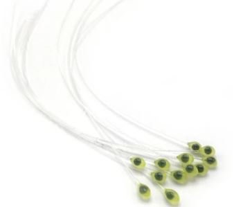 Epoxy Mono Crab or Shrimp Eyes - Eyes - Fly Fish Food