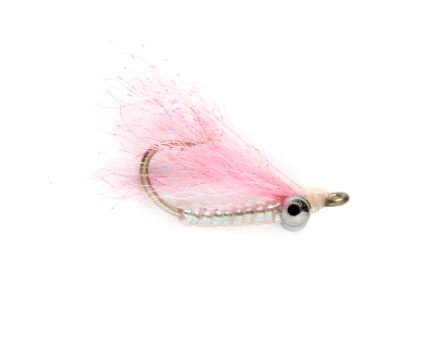 Crazy Charlie Shallow - Pink - Flies - Fly Fish Food