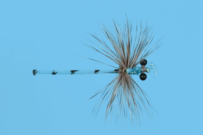 Damsel - Blue Adult - Flies - Fly Fish Food