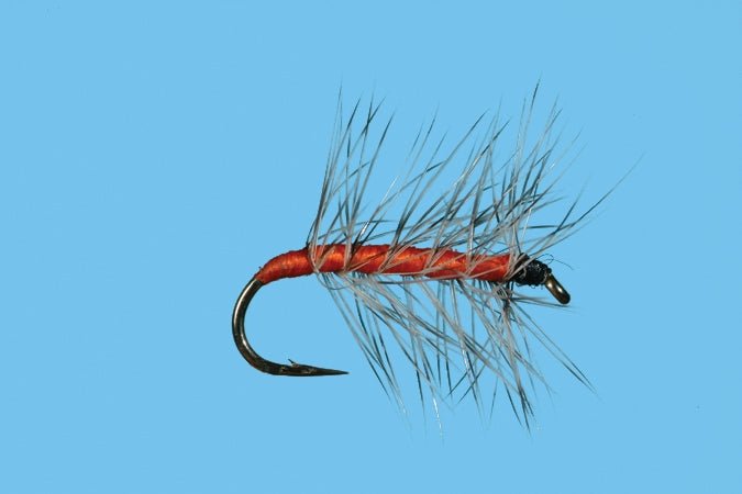 Orange Asher - Flies - Fly Fish Food