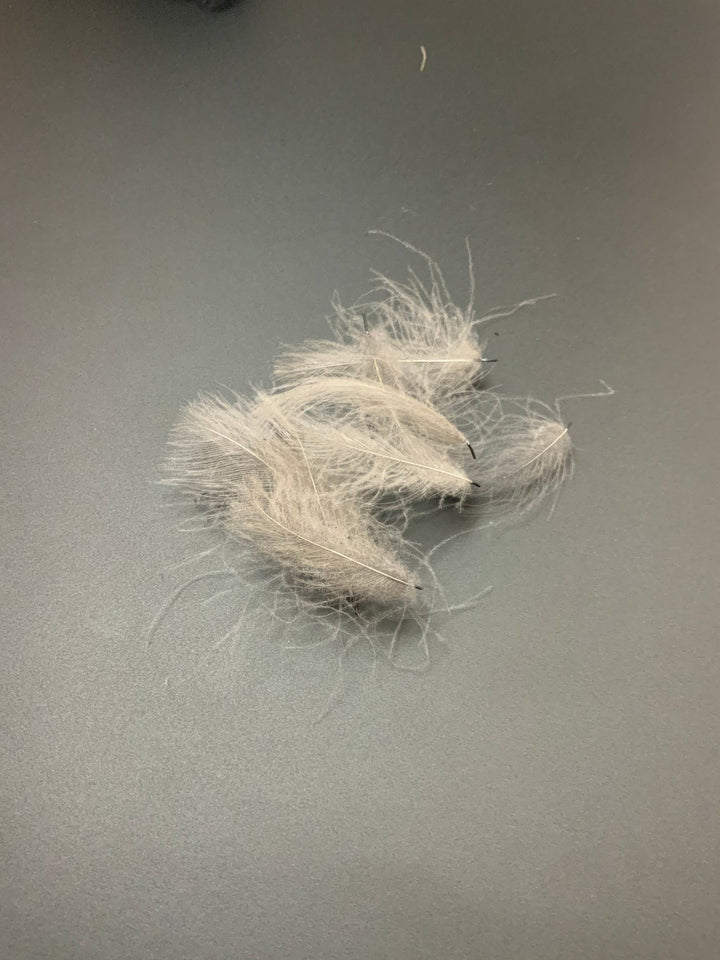 Fly Fish Food “Duck Butt” CDC - Feathers &amp; Marabou - Fly Fish Food