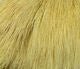 Deer Belly Hair - Hair & Fur - Fly Fish Food