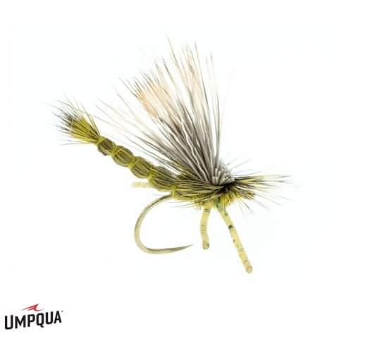 DJL Drake - Green - Flies - Fly Fish Food