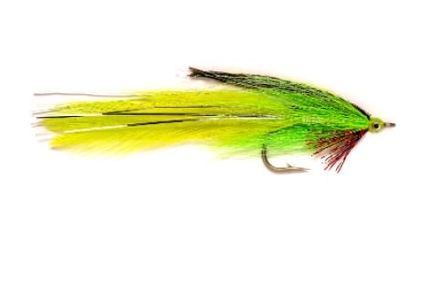 Deceiver - Chartreuse - Flies - Fly Fish Food