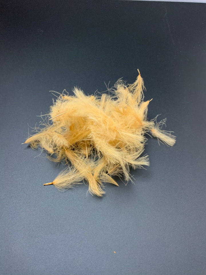 Fly Fish Food “Duck Butt” CDC - Feathers &amp; Marabou - Fly Fish Food