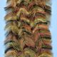 EP Crustaceous Brush w/ Micro Legs - Synthetic Fibers &amp; Flash - Fly Fish Food